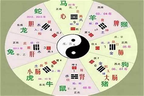 珮五行|珮字的五行属性